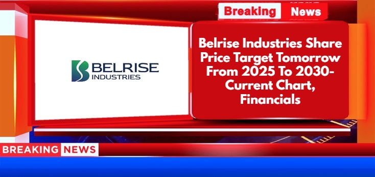 Belrise Industries Share Price Target