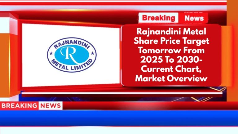 Rajnandini Metal Share Price Target