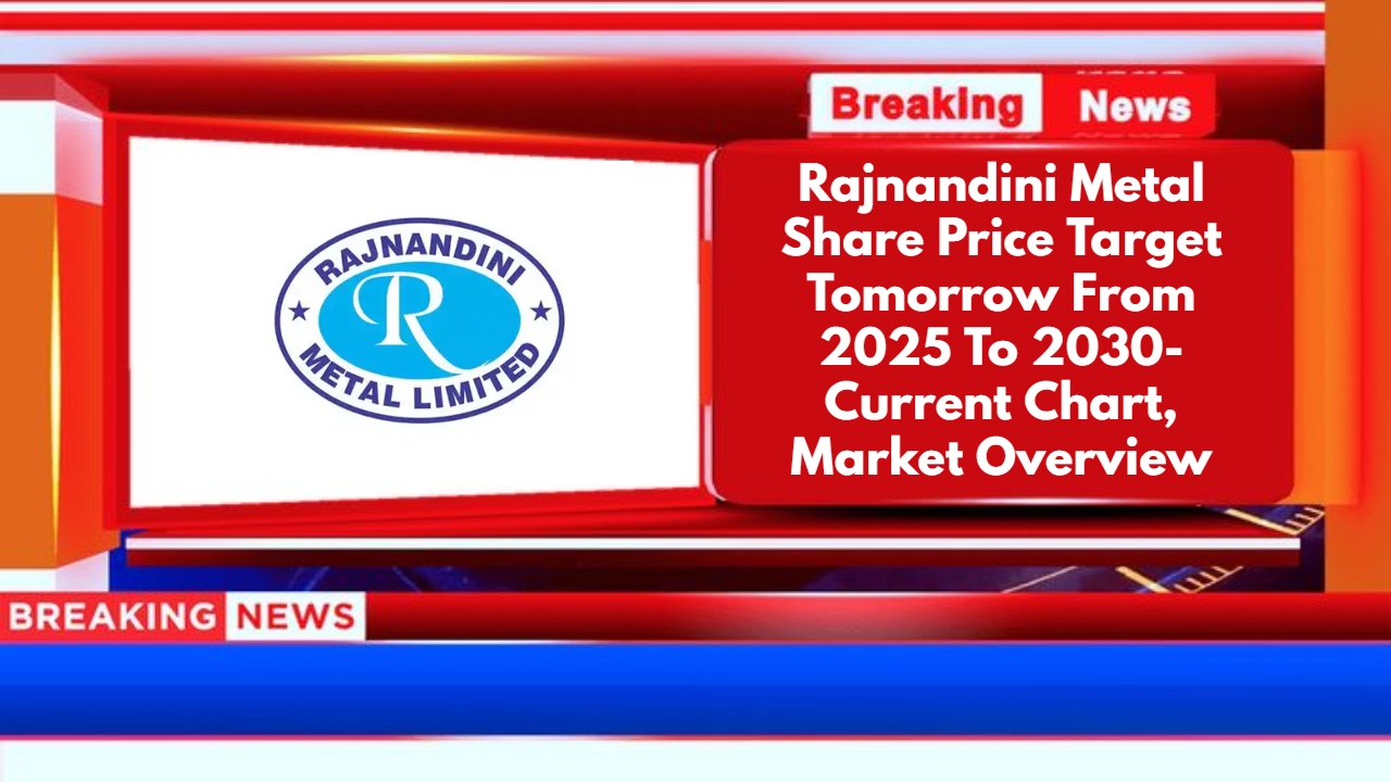 Rajnandini Metal Share Price Target